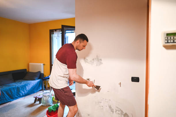Best Post-Remediation Services in Pecan Acres, TX