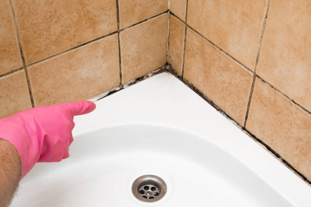 Pecan Acres, TX Mold Remediation Company